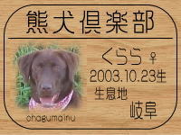 �I�[�i�[�́A����炳��ł���